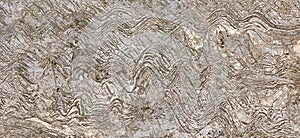 exotic wall cement texture