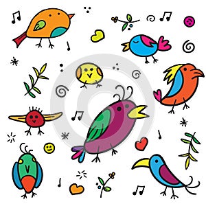 Exotic warblers and song bird with colorful plumage on a white background vector photo