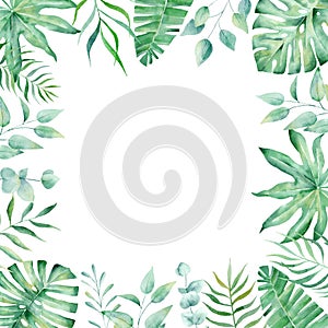 Exotic watercolor tropical frame border palm tree. Summer clipart illustration.