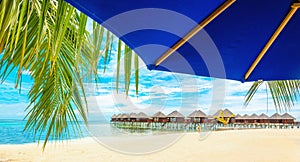 Exotic wooden houses on the water and palm leaf with blue sun umbrella