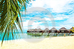 Exotic wooden houses on the water and palm leaf in the foreground