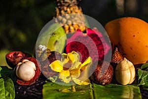 Exotica asian fresh fruits Still Life - pinapple, mango, dragon, snake fruite and mangustin