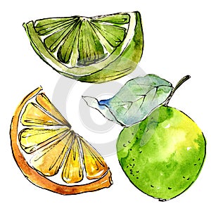 Exoticlemon citruses in a watercolor style isolated.