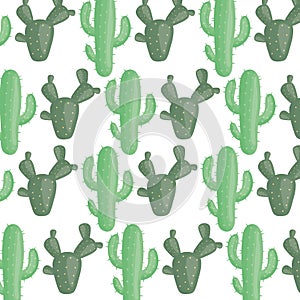 Exotics cactus plants natural pattern