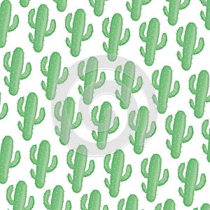 Exotics cactus plants natural pattern