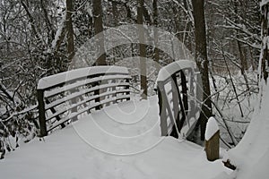 Expanse Bridge in Ruth Park 2019