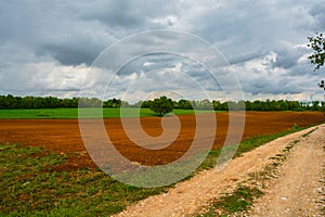 Expanse of lawn with the field just plow