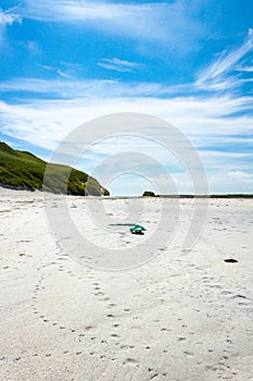 Tracks in Sand. Cata Sand, Sanday, Orkney, Scotland photo