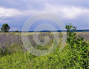 Expanses of the Republic of Adygea