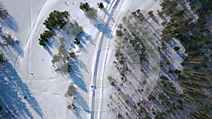 The expanses of the winter forest. Clip. Bird's-eye view. A huge snowy white forest with large snow-covered Christmas