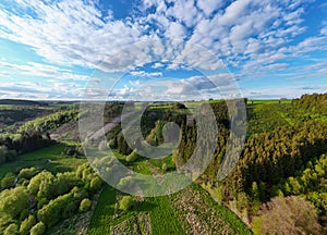 Expansive Aerial View of Mixed Forests and Fields in Hautes Fagnes