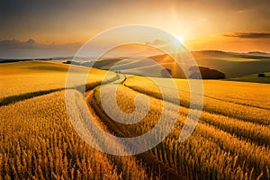 An expansive, golden wheat field stretching as far as the eye can see, bathed in the warm light of the setting sun