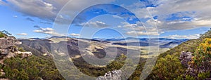 Expansive valley view in Blue Mountains with dense forest, dramatic cliffs, and dynamic clouds
