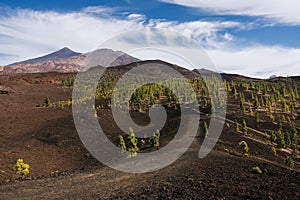 Expansive volcanic plain with