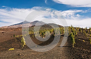 Expansive volcanic plain with