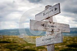 expat expert fluent signpost outdoors photo