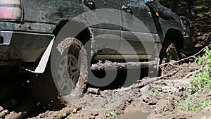 Expeditionary SUV got stuck in the mud in the forest, off-road