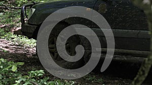 Expeditionary SUV rides through the woods slowly on dirty road.