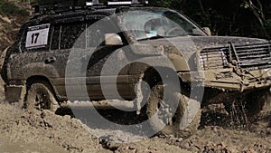 Expeditionary SUV rides through the woods slowly on dirty road.