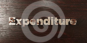 Expenditure - grungy wooden headline on Maple - 3D rendered royalty free stock image