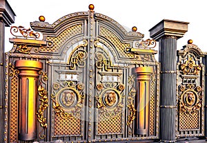 Expensive beautiful metal wrought iron gates. Automatic gate.