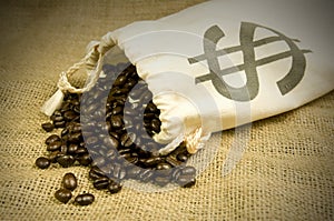 Expensive coffee beans photo