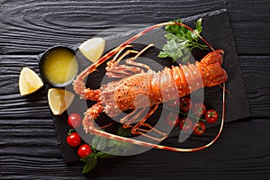 Expensive food: spiny boiled lobster with fresh tomato, lemon an