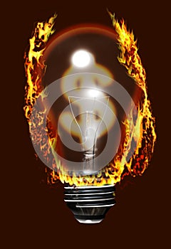 Expensive light bulb