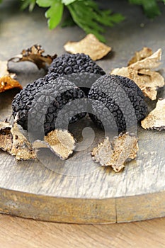 Expensive rare black truffle mushroom