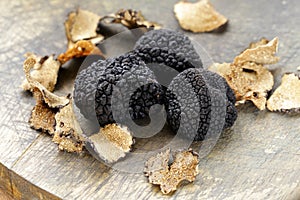 Expensive rare black truffle mushroom