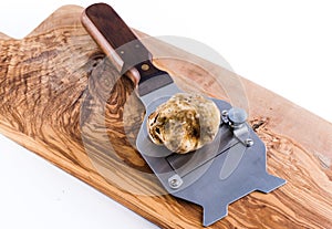 Expensive white truffle from Alba and steel slicer