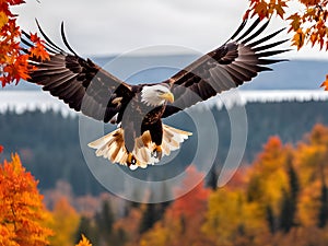 Majestic Bald Eagle Gliding Over Autumn Forest High-Definition AI-Crafted Image photo