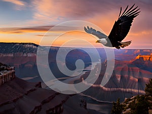 Majestic Bald Eagle Soaring Over Grand Canyon at Sunrise photo