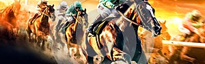 Experience the exhilaration as thoroughbred horses thunder down the racetrack