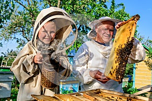 Experienced beekeeper grandfather teaches his grandson caring for bees. Apiculture. The concept of transfer of