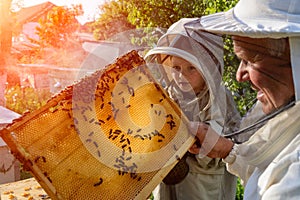 Experienced beekeeper grandfather teaches his grandson caring for bees. Apiculture. The concept of transfer of