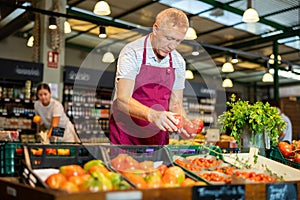 Experienced elderly salesman laying out ripe tomatoes on display in supermarket