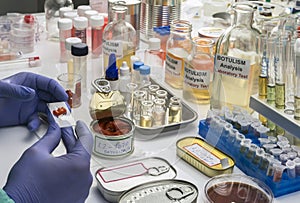 Experienced laboratory scientist analyzes red peppers from a canned food can to analyze botulism infection in sick people,