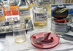 Experienced laboratory scientist analyzes red peppers from a canned food can to analyze botulism infection in sick people,