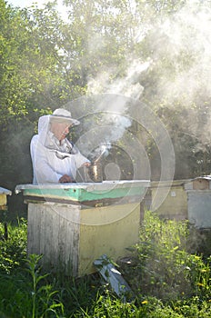 Experienced senior apiarist is setting a fire in a bee smoker