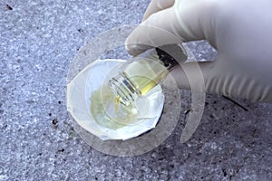 experiences with selenium