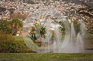 Experiencing Madeira Funchal city park and its fountain in Portugal, an paradise island in the middle of Atlantic ocean