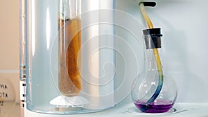 Experiment with Fluids in Laboratory. Laboratory glassware with colorful fluids during a chemical experiment.