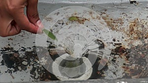 Experiment with water near equator line in Galapagos Ecuador.