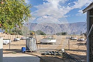 Experimental Agriculture Farm in the Arava Desert