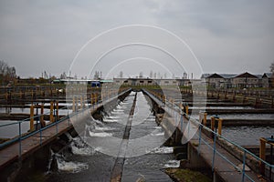 An experimental fish farm where sturgeon are raised runs along the energy giant`s photo