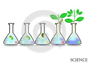 Experimental growth of plants in Erlenmayer flask,plant,nature,environment