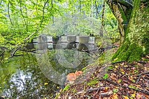 Experimental hydraulic engineering installations in the Waterloopbos