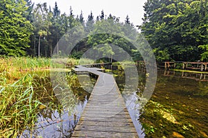 Experimental hydraulic engineering installations in the Waterloopbos