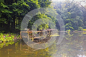 Experimental hydraulic engineering installations in the Waterloopbos